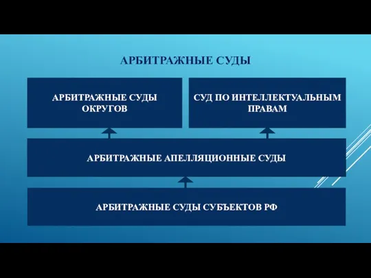 АРБИТРАЖНЫЕ СУДЫ АРБИТРАЖНЫЕ СУДЫ ОКРУГОВ АРБИТРАЖНЫЕ АПЕЛЛЯЦИОННЫЕ СУДЫ АРБИТРАЖНЫЕ СУДЫ СУБЪЕКТОВ РФ СУД ПО ИНТЕЛЛЕКТУАЛЬНЫМ ПРАВАМ