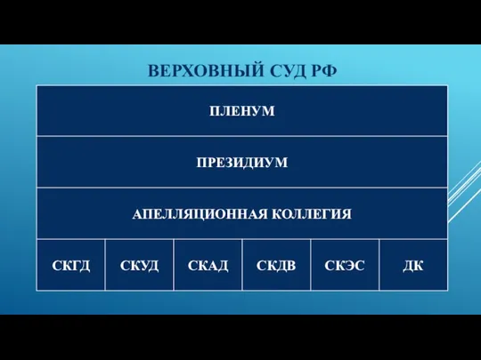 ВЕРХОВНЫЙ СУД РФ