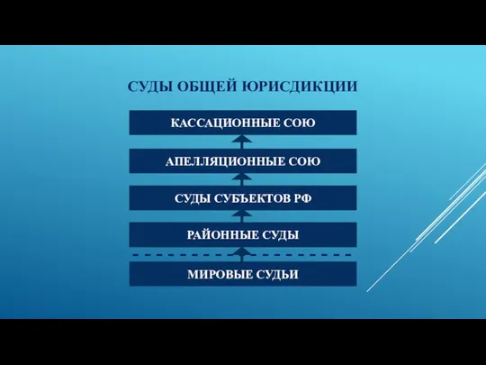 СУДЫ ОБЩЕЙ ЮРИСДИКЦИИ СУДЫ СУБЪЕКТОВ РФ РАЙОННЫЕ СУДЫ МИРОВЫЕ СУДЬИ -