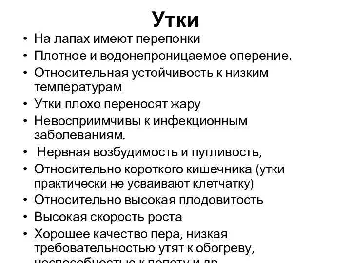 Утки На лапах имеют перепонки Плотное и водонепроницаемое оперение. Относительная устойчивость