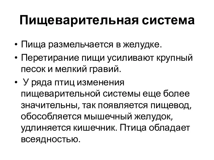 Пищеварительная система Пища размельчается в желудке. Перетирание пищи усиливают крупный песок