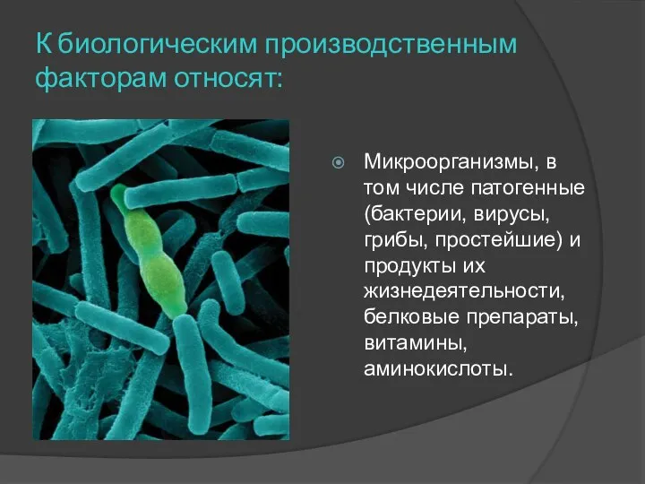 К биологическим производственным факторам относят: Микроорганизмы, в том числе патогенные (бактерии,