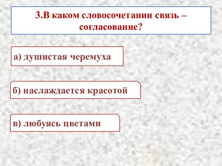 3.В каком словосочетании связь – согласование? а) душистая черемуха б) наслаждается красотой в) любуясь цветами