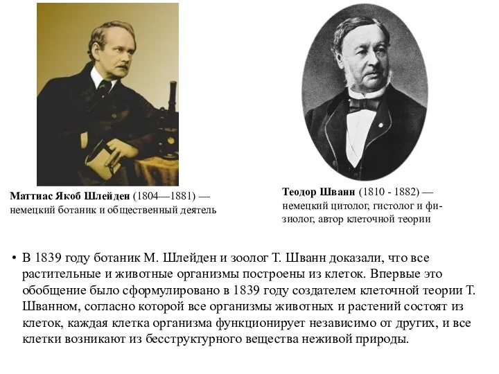 В 1839 году ботаник М. Шлейден и зоолог Т. Шванн доказали,