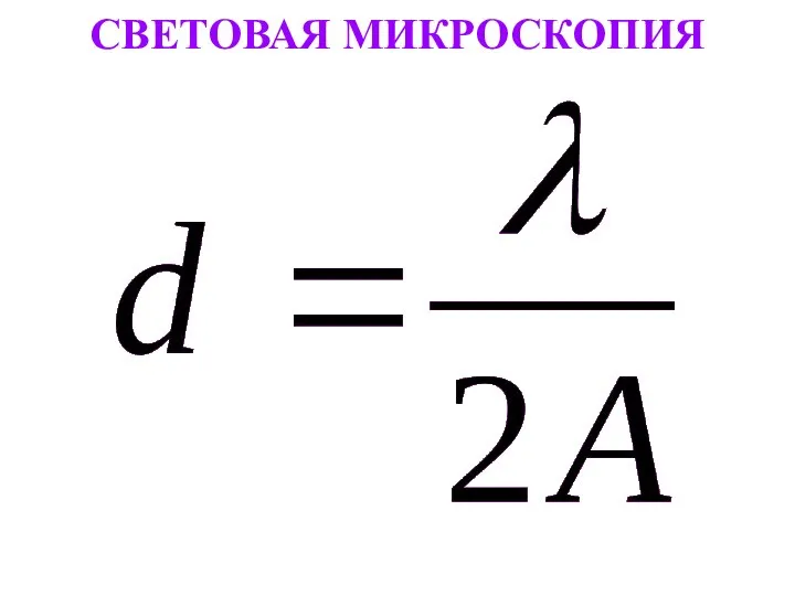 СВЕТОВАЯ МИКРОСКОПИЯ