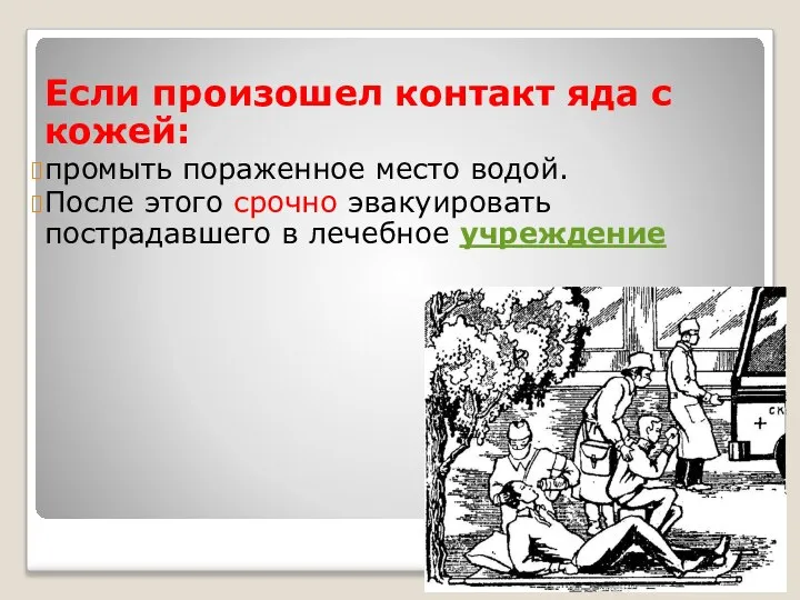 Если произошел контакт яда с кожей: промыть пораженное место водой. После