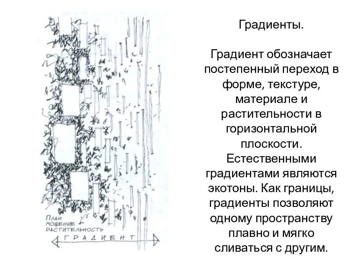 Градиенты. Градиент обозначает постепенный переход в форме, текстуре, материале и растительности