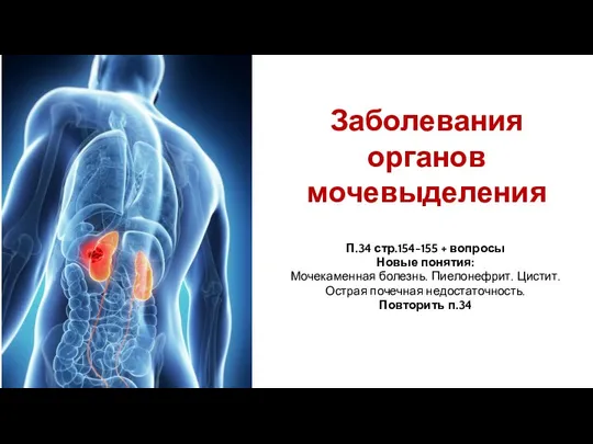 Заболевания органов мочевыделения П.34 стр.154-155 + вопросы Новые понятия: Мочекаменная болезнь.