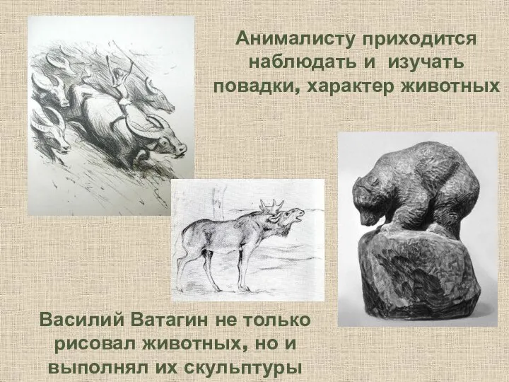 Анималисту приходится наблюдать и изучать повадки, характер животных Василий Ватагин не