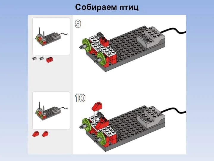 Собираем птиц