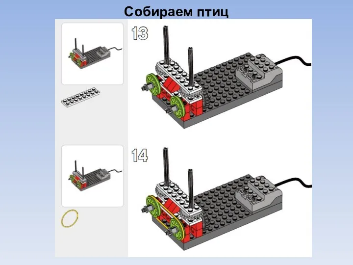 Собираем птиц