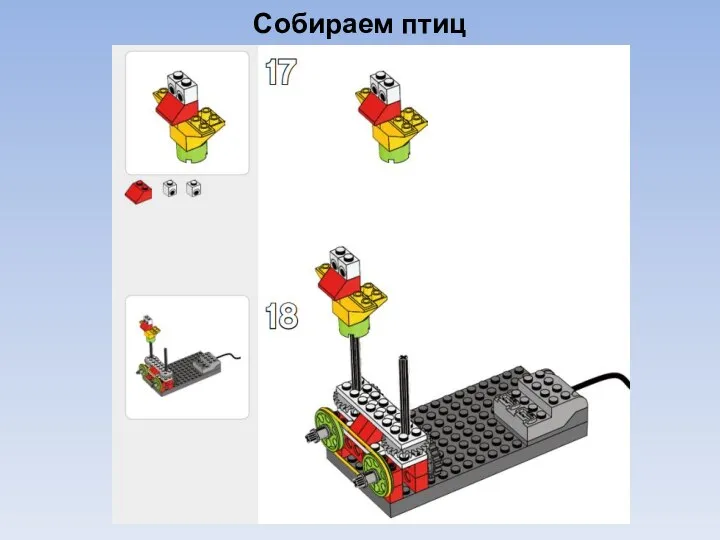 Собираем птиц