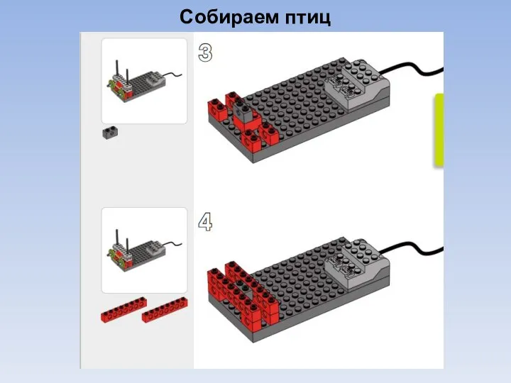 Собираем птиц