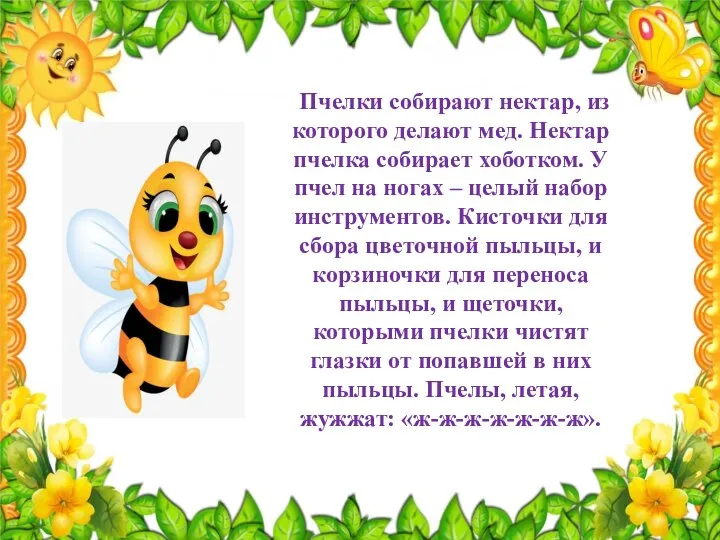 Пчелки собирают нектар, из которого делают мед. Нектар пчелка собирает хоботком.