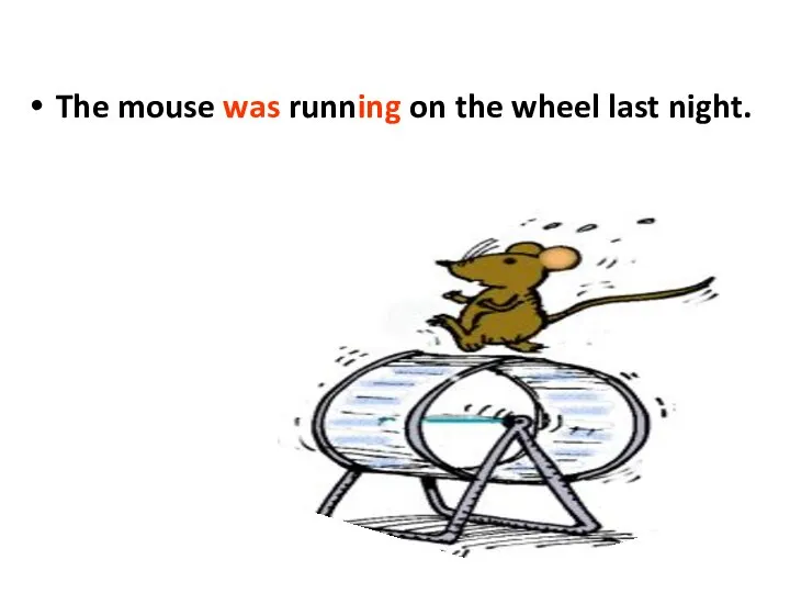 The mouse was running on the wheel last night.