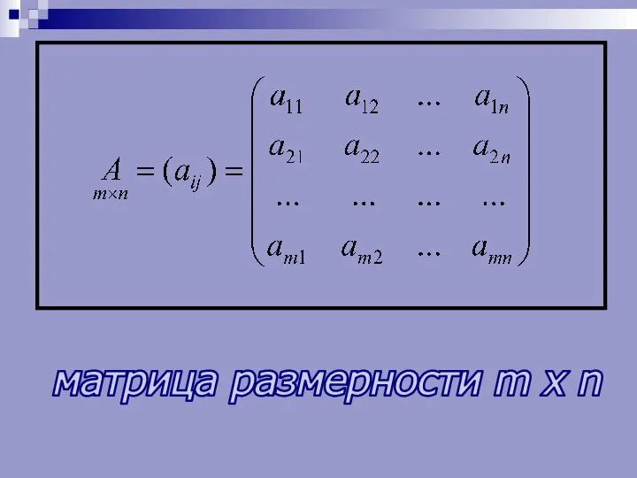 матрица размерности m x n