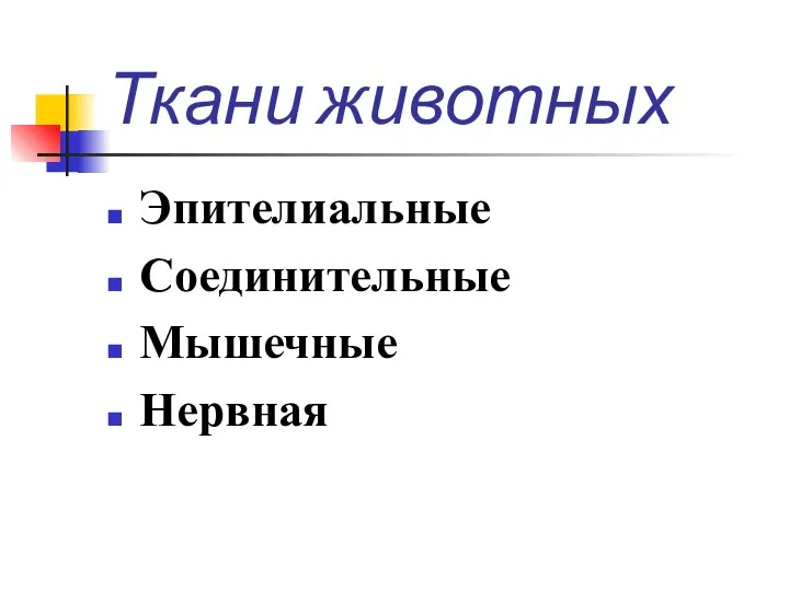 Ткани животных Эпителиальные Соединительные Мышечные Нервная