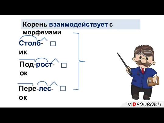 Столб-ик Пере-лес-ок Под-рост-ок Корень взаимодействует с морфемами