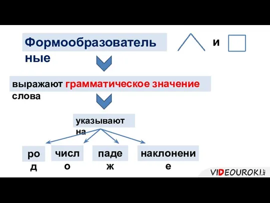 выражают грамматическое значение слова указывают на род число падеж наклонение