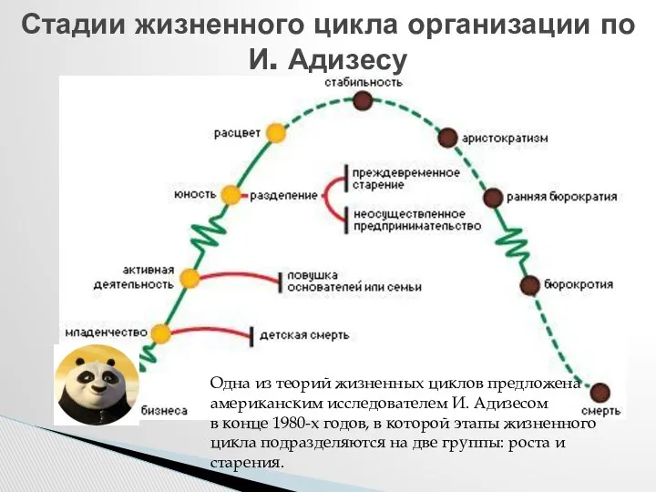 Стадии жизненного цикла организации по И. Адизесу Одна из теорий жизненных