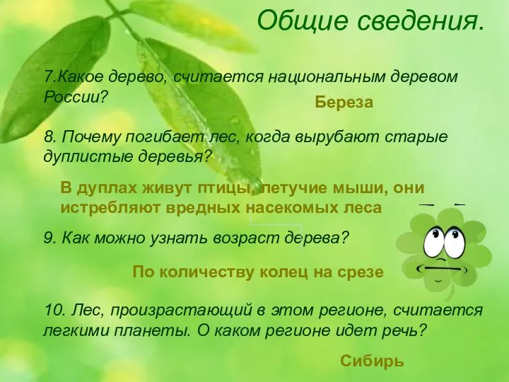 Общие сведения. 9. Как можно узнать возраст дерева? 7.Какое дерево, считается