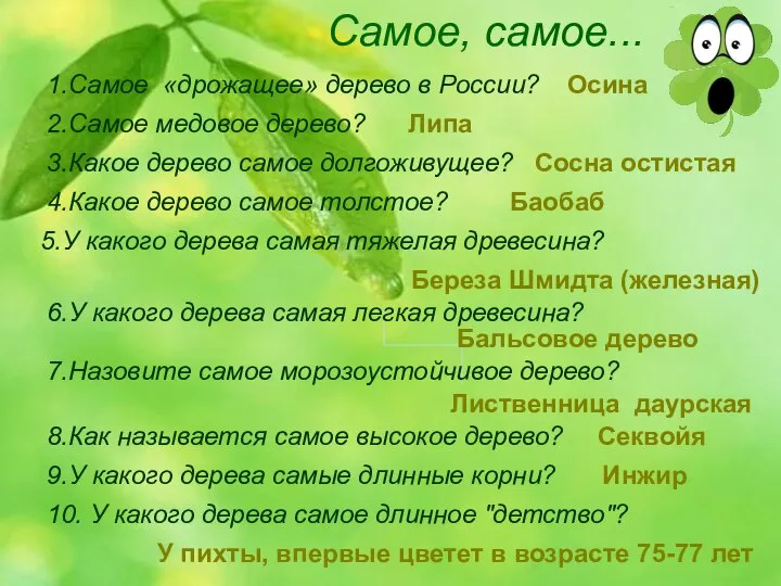 Самое, самое... 1.Самое «дрожащее» дерево в России? 2.Самое медовое дерево? 3.Какое