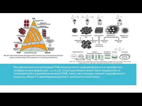 При увеличении концентрации ПАВ мицеллы могут деформироваться и приобретать несферическую форму
