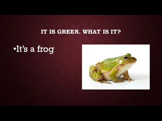 IT IS GREEN. WHAT IS IT? It’s a frog