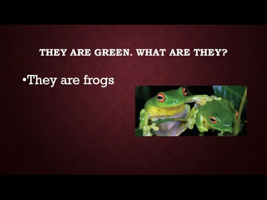 THEY ARE GREEN. WHAT ARE THEY? They are frogs