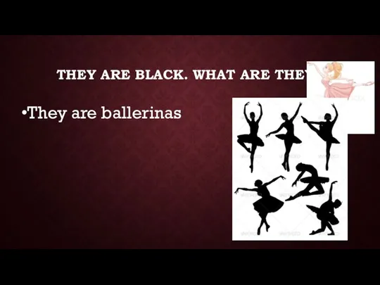 THEY ARE BLACK. WHAT ARE THEY? They are ballerinas