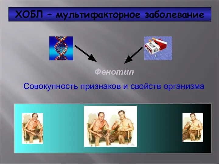 ХОБЛ – мультифакторное заболевание Фенотип Совокупность признаков и свойств организма