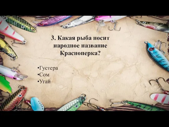 3. Какая рыба носит народное название Красноперка? Густера Сом Угай