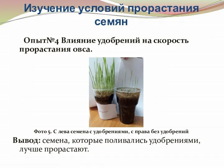 Изучение условий прорастания семян Опыт№4 Влияние удобрений на скорость прорастания овса.