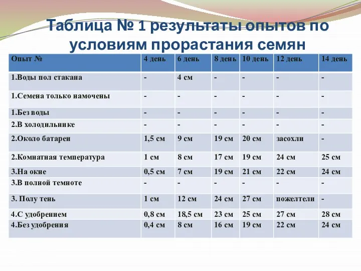 Таблица № 1 результаты опытов по условиям прорастания семян