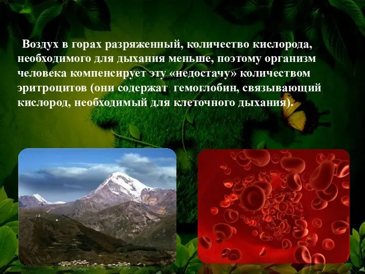 Воздух в горах разряженный, количество кислорода, необходимого для дыхания меньше, поэтому