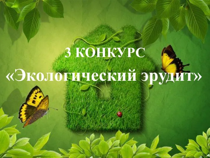 3 КОНКУРС «Экологический эрудит»