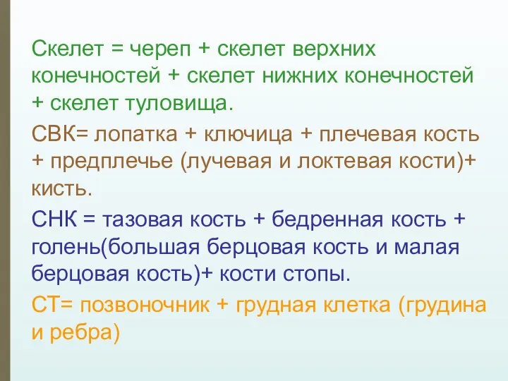 Скелет = череп + скелет верхних конечностей + скелет нижних конечностей