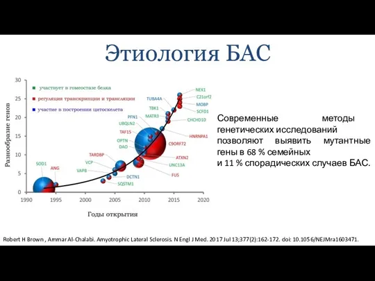 Этиология БАС Современные методы генетических исследований позволяют выявить мутантные гены в