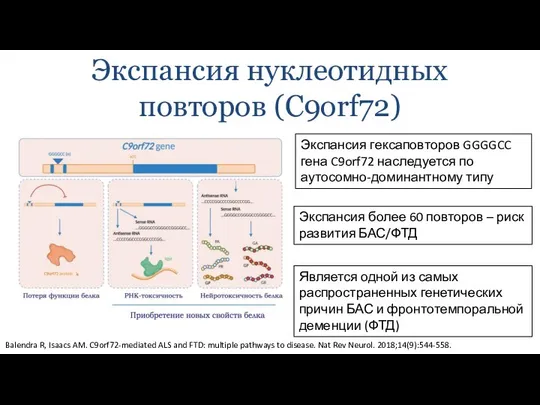 Экспансия нуклеотидных повторов (C9orf72) Экспансия гексаповторов GGGGCC гена C9orf72 наследуется по