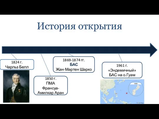 История открытия 1824 г. Чарльз Белл 1850 г. ПМА Франсуа-Амилкар Аран