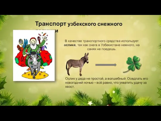 В качестве транспортного средства использует ослика, так как снега в Узбекистане