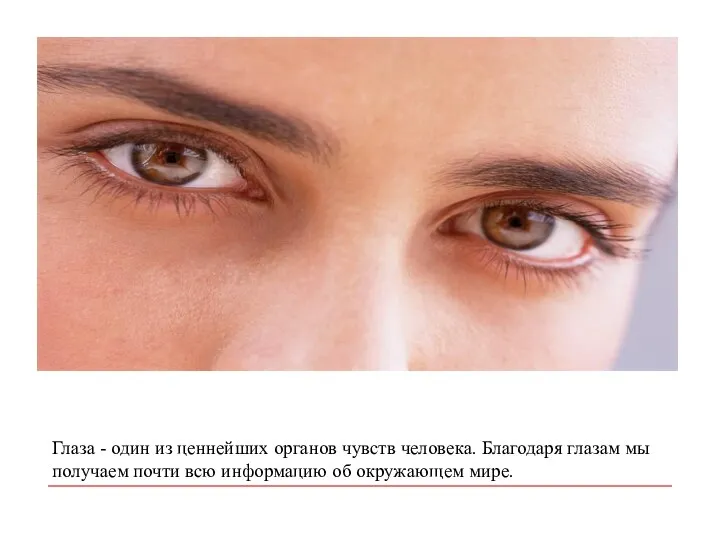 Глаза - один из ценнейших органов чувств человека. Благодаря глазам мы