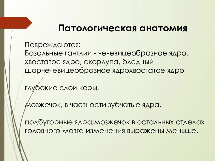 Патологическая анатомия Повреждаются: Базальные ганглии - чечевицеобразное ядро, хвостатое ядро, скорлупа,