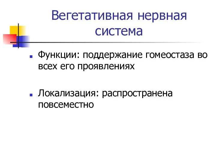 Вегетативная нервная система Функции: поддержание гомеостаза во всех его проявлениях Локализация: распространена повсеместно