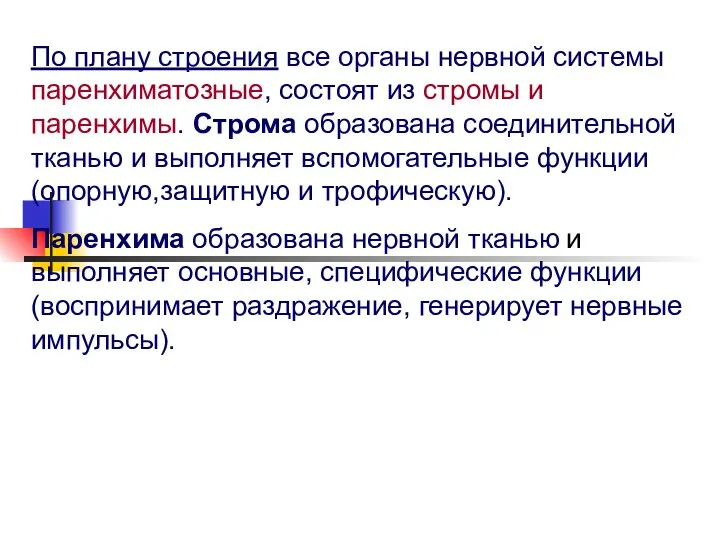 По плану строения все органы нервной системы паренхиматозные, состоят из стромы