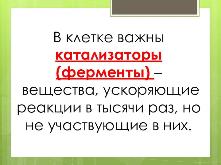 В клетке важны катализаторы (ферменты) – вещества, ускоряющие реакции в тысячи