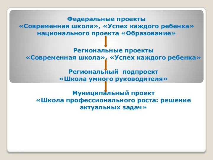 Федеральные проекты «Современная школа», «Успех каждого ребенка» национального проекта «Образование» Региональные