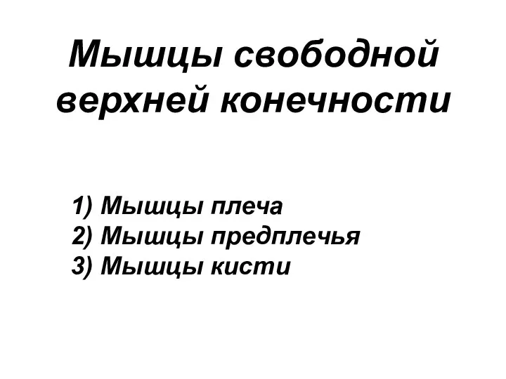 Мышцы свободной верхней конечности 1) Мышцы плеча 2) Мышцы предплечья 3) Мышцы кисти