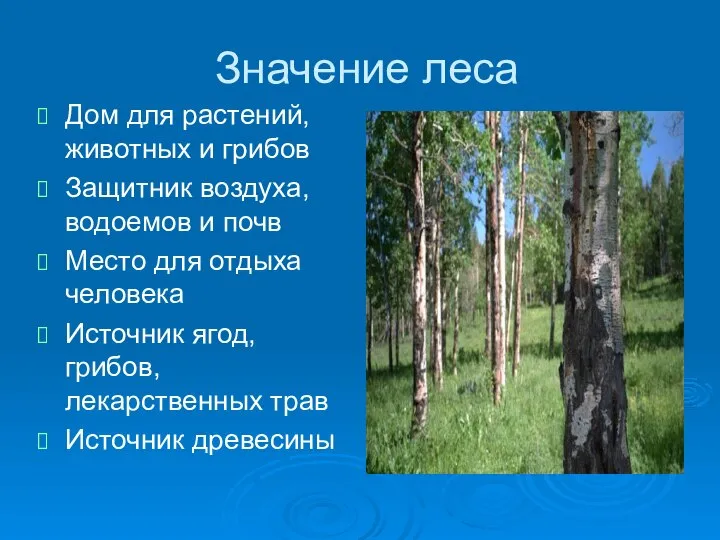 Значение леса Дом для растений, животных и грибов Защитник воздуха, водоемов