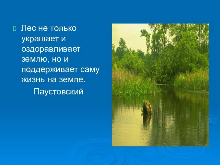 Лес не только украшает и оздоравливает землю, но и поддерживает саму жизнь на земле. Паустовский